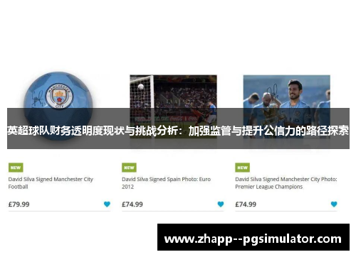 英超球队财务透明度现状与挑战分析：加强监管与提升公信力的路径探索