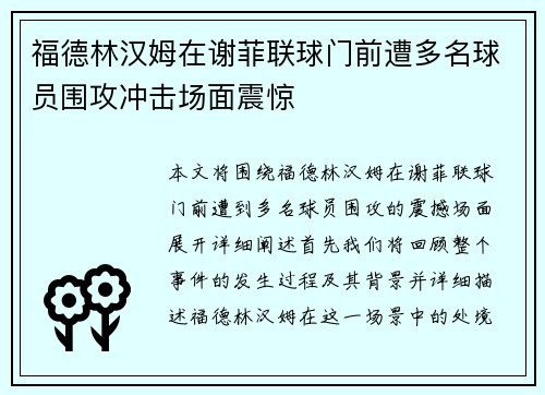 福德林汉姆在谢菲联球门前遭多名球员围攻冲击场面震惊